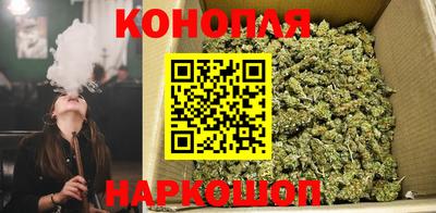 прущие крисы Пенза