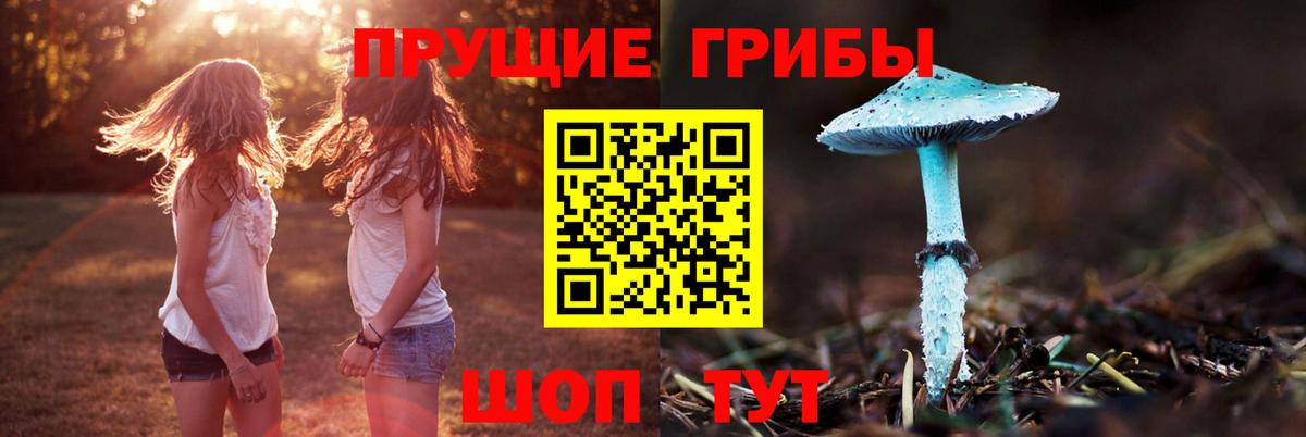 Псилоцибиновые грибы GOLDEN TEACHER Северск