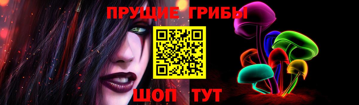 Псилоцибиновые грибы Psilocybine cubensis  Вход с VPN  купить наркоту  Северск  Галлюциногенные грибы мухоморы 